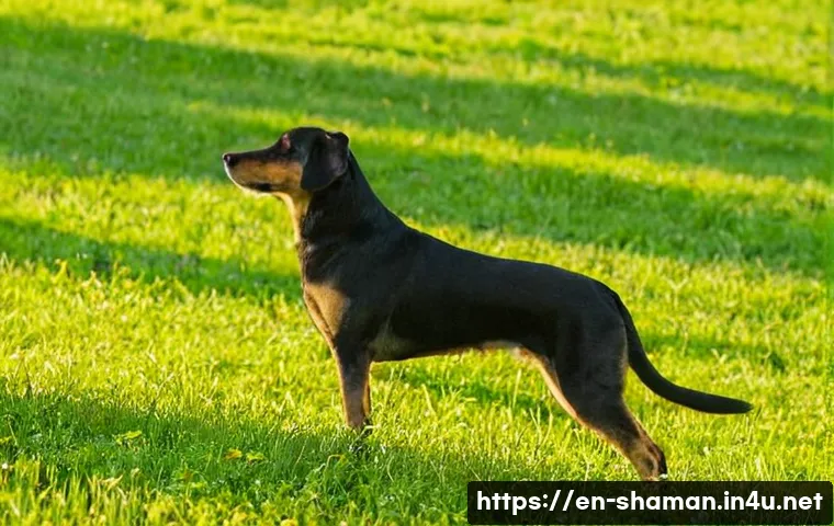 무속과 종교적 관점의 차이 관련 이미지 1